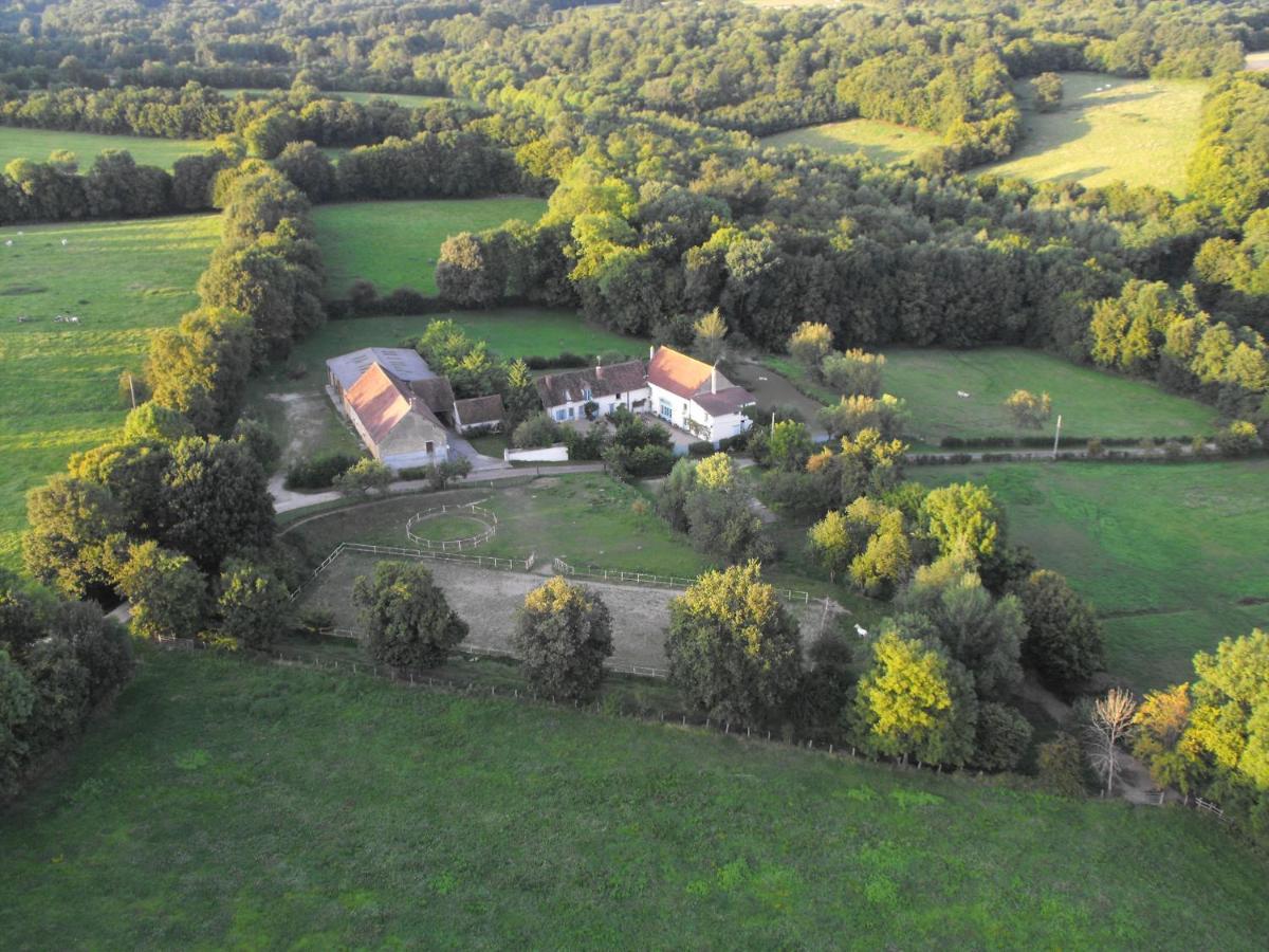 לינה וארוחת בוקר Saint-Amand-en-Puisaye Domaine De Varenne מראה חיצוני תמונה